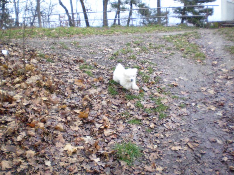 Foto: U� let����m-Monty