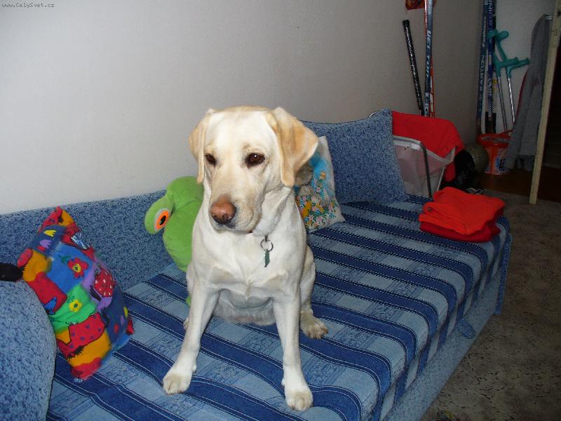 Foto: na�e zlato Meggie