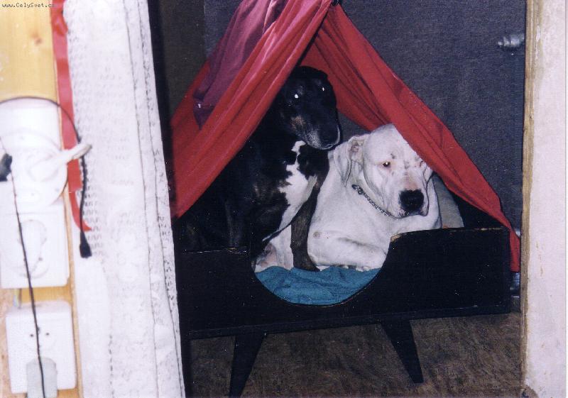 Foto: nem�m kde slo�it hlavu