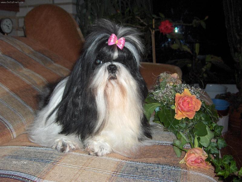 Foto: Vanity-ve v�ku 8 let