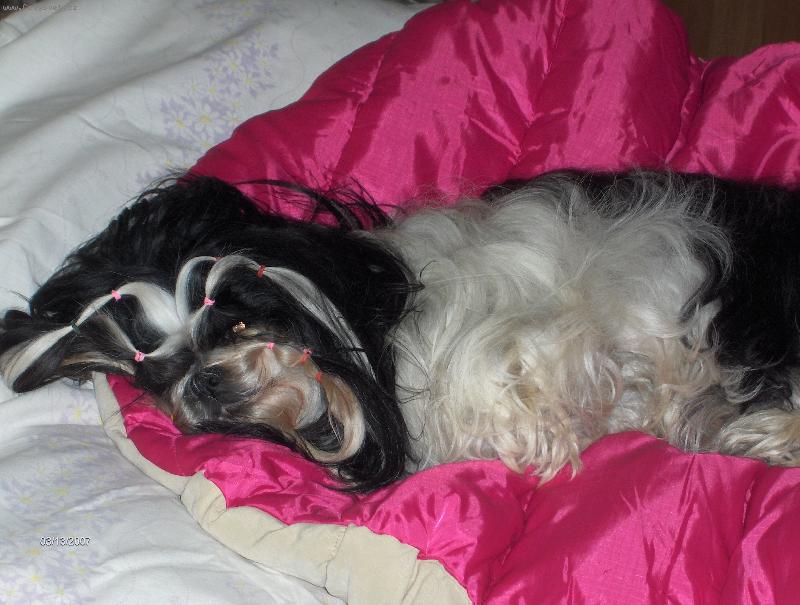 Foto: Nebudit!!-sta�enka odpo��v�