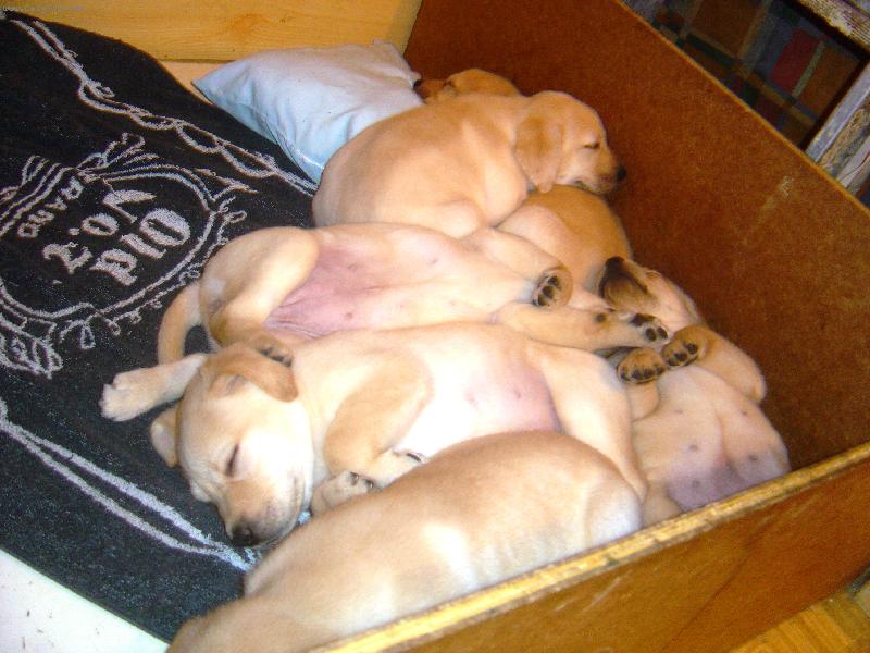 Foto: Na hromad�-Na hromad� je nejl�p