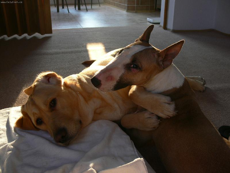 Foto: Na�e Nelly Bety