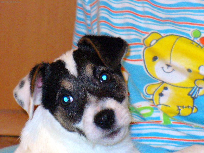 Foto: D�re�ek Jack