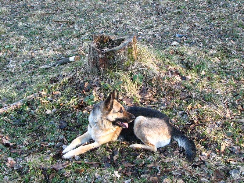 Foto: Rorie-Pauzi�ka