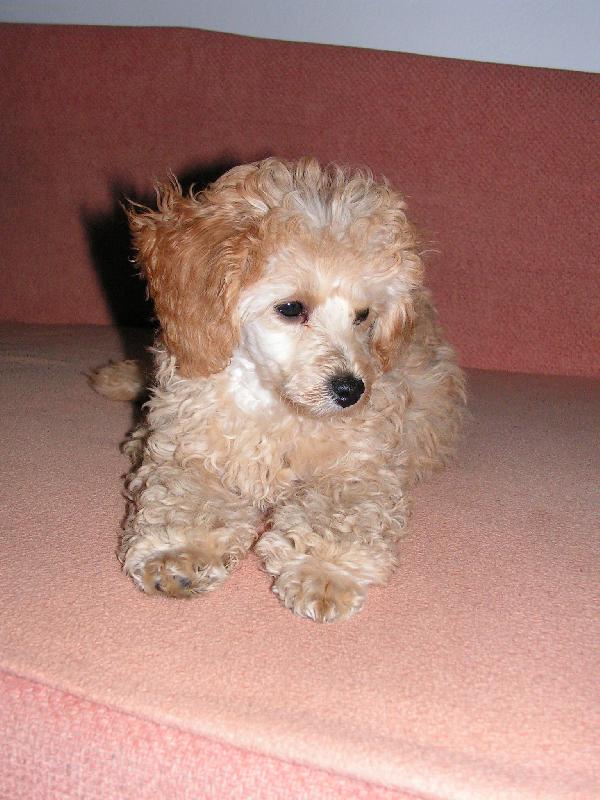 Foto: Ronny-N� mil��ek.