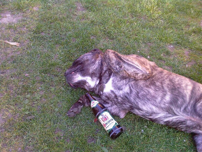 Foto: Bredax Espa�ol-A nepij furt.......