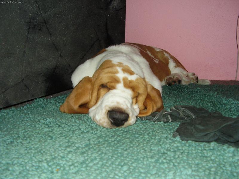 Foto: Eminescu z Valachitu