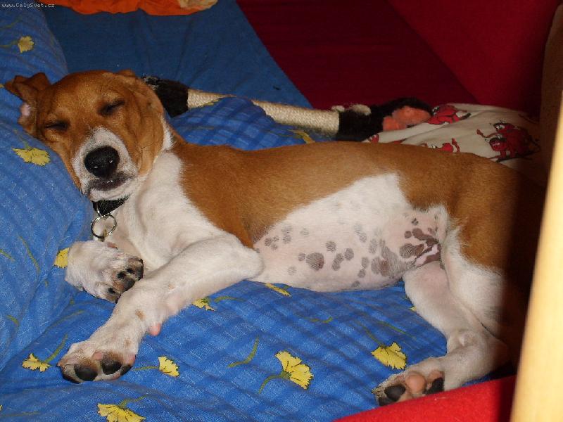 Foto: takhle spink�me