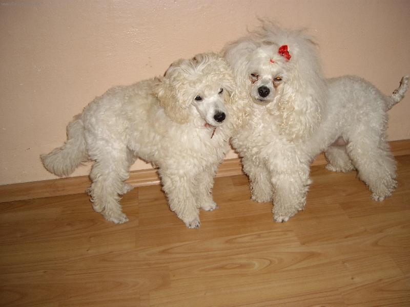 Foto: mam�a a dcera-my se m�me r�di