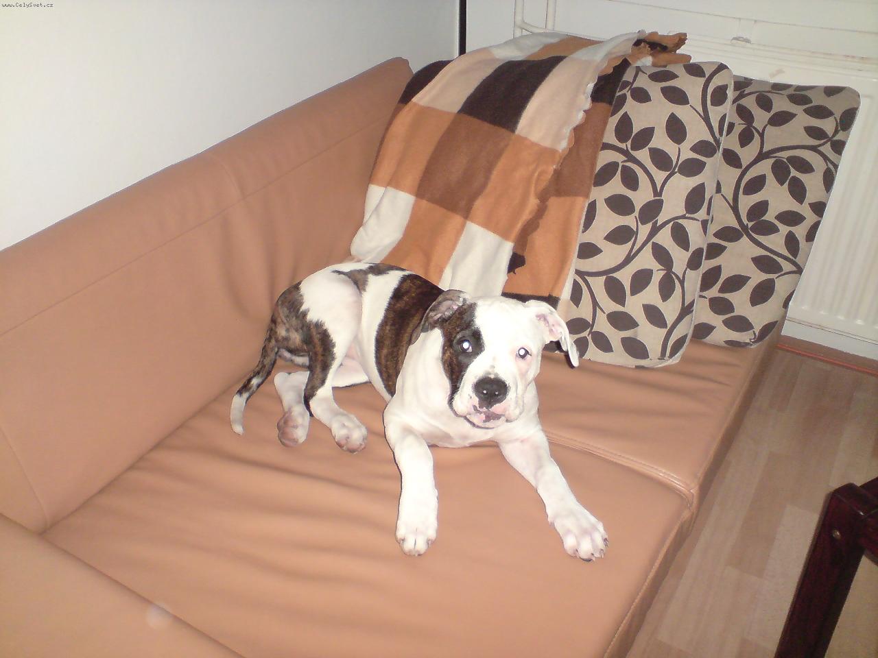 Foto: Freya-5m�s�c�