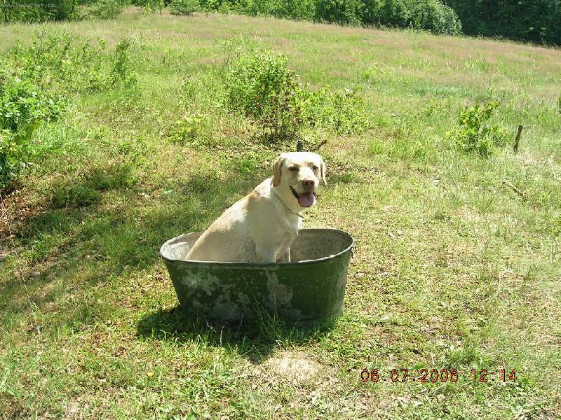 Foto: Aimi-Ochlazen� ve vani�ce