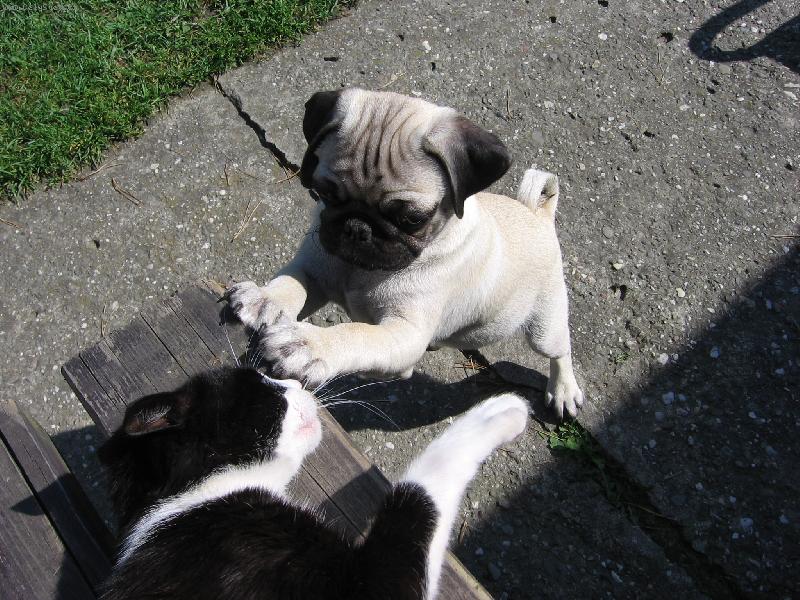 Foto: Johny a Barunka