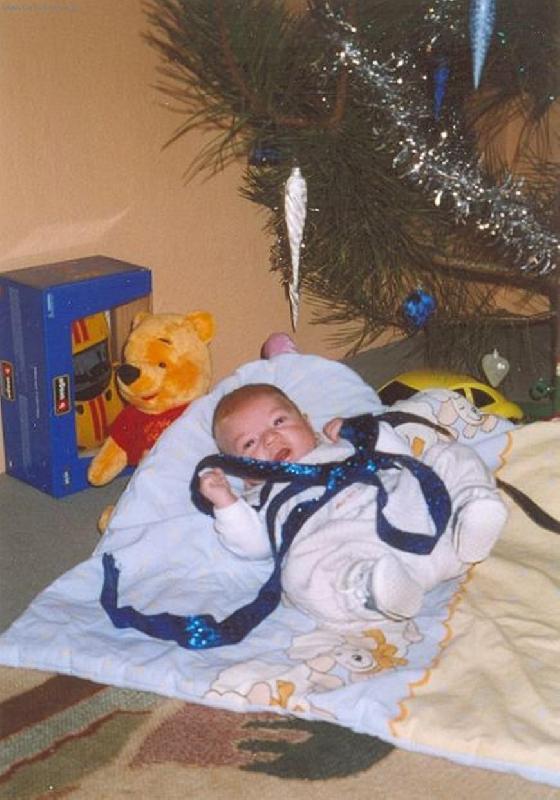 Foto: Nejkr�sn�j�� d�re�ek pod strome�kem