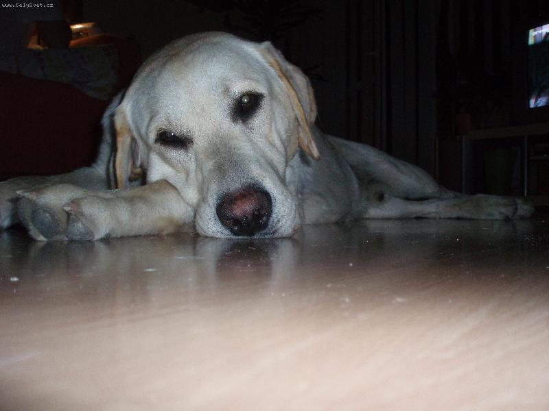 Foto: Sam��ek-:D