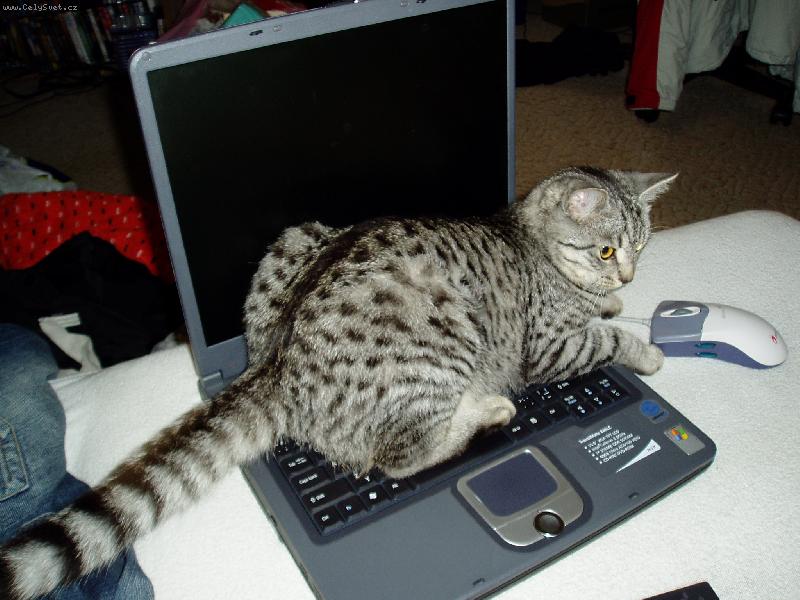 Foto: Mike�ka-to je moje my�ka!!!!!!!!!!!!