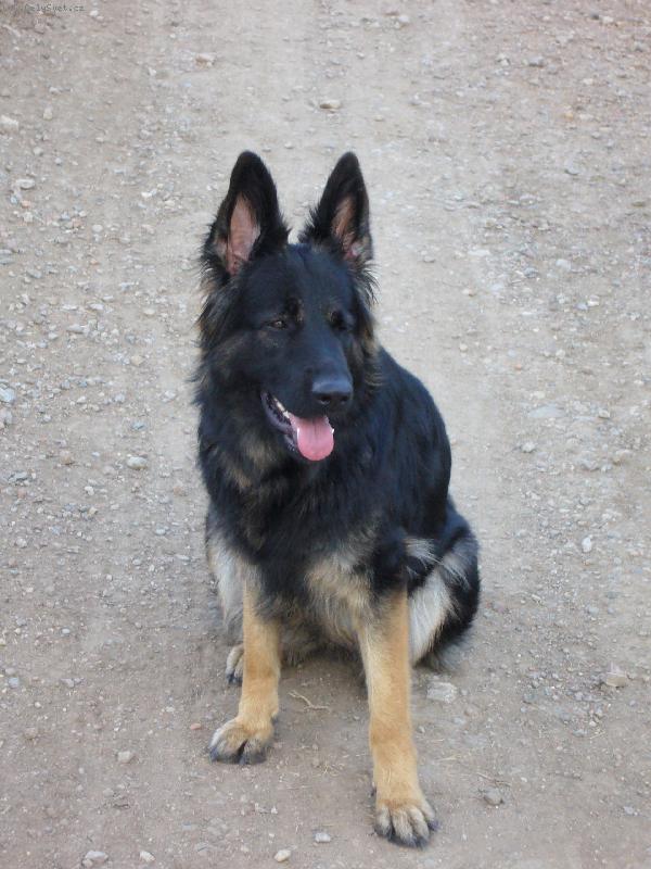 Foto: na cest�-Rita