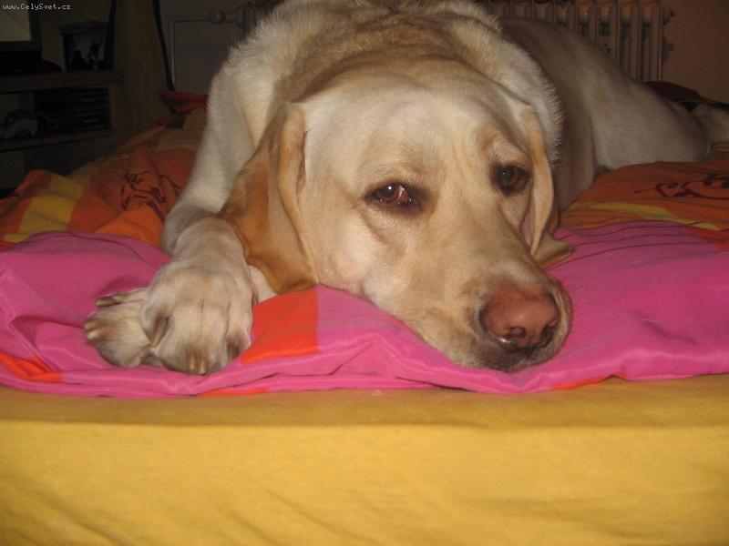 Foto: Meginka odpo��v�