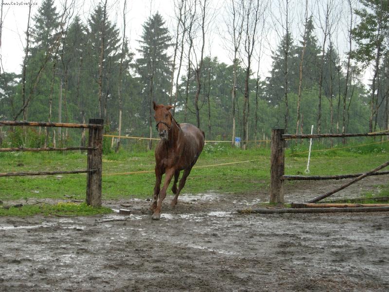 Foto: to je slejv�k