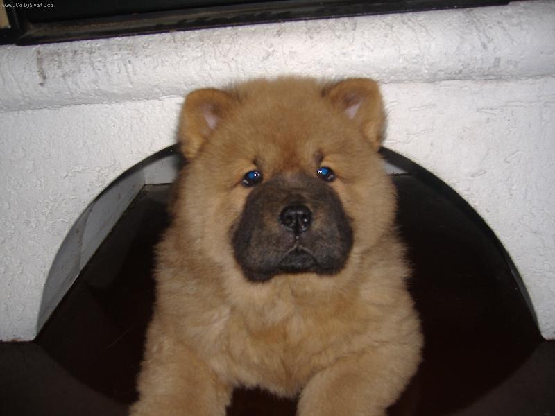 Foto: MAT�SEK-Hledal m� n�kdo