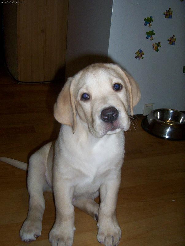 Foto: Max-to jsem se dob�e napapal!