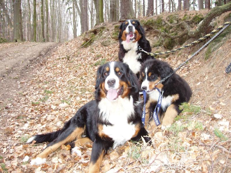 Foto: chcete n�s????