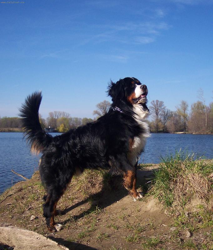 Foto: Bernie vyhl�� p�n��ka