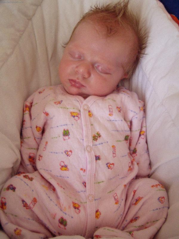 Foto: And�lek-Sp�c� miminko