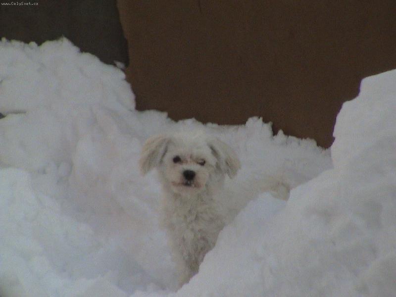 Foto: Mat�sek-Zimn� sn�hul�k