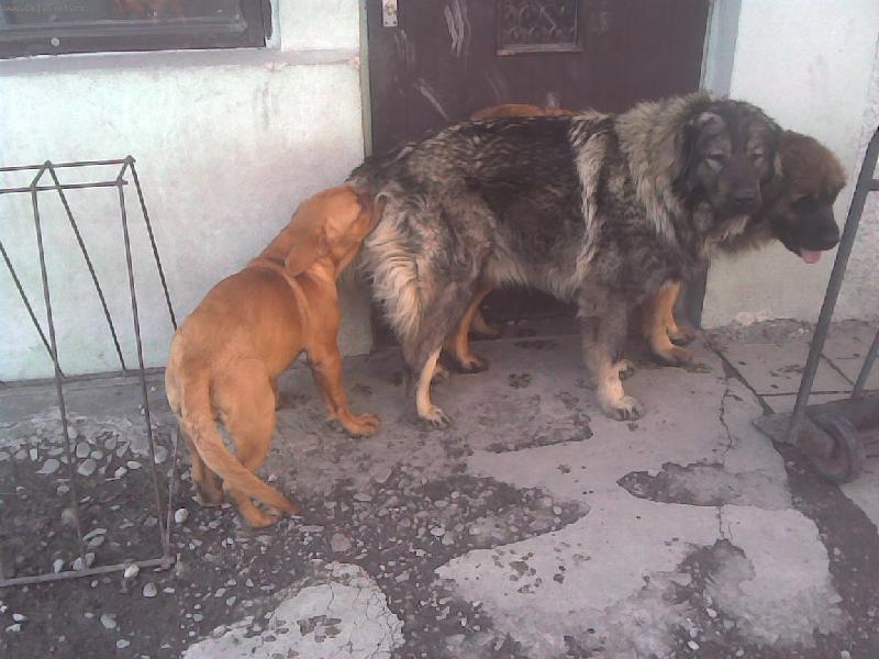 Foto: "dej mi ten ocas"