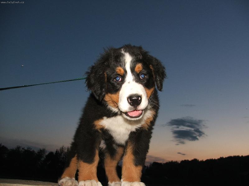 Foto: U rybn��ku