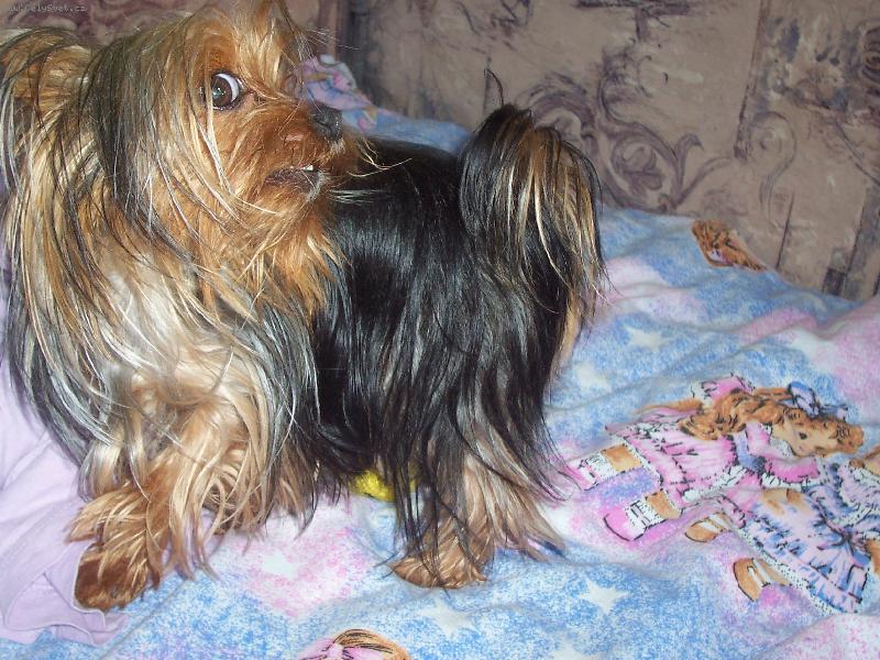 Foto: M�j mil��ek-Poj� si hr�t...