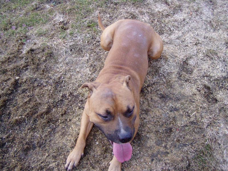 Foto: Podrbal jsem se na z�dech