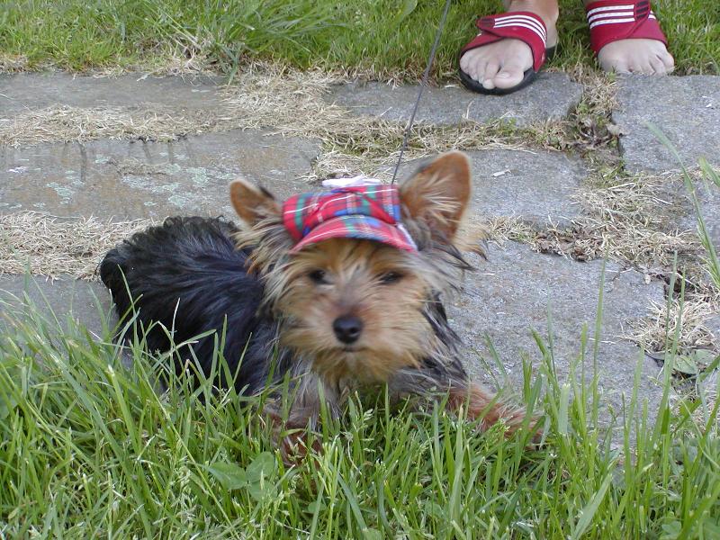 Foto: Relax-odpo�inek ve st�nu