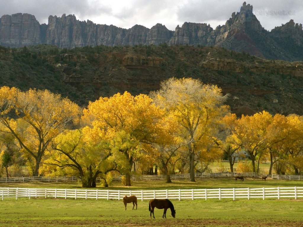 Foto: Autumn Season In The Country, Utah