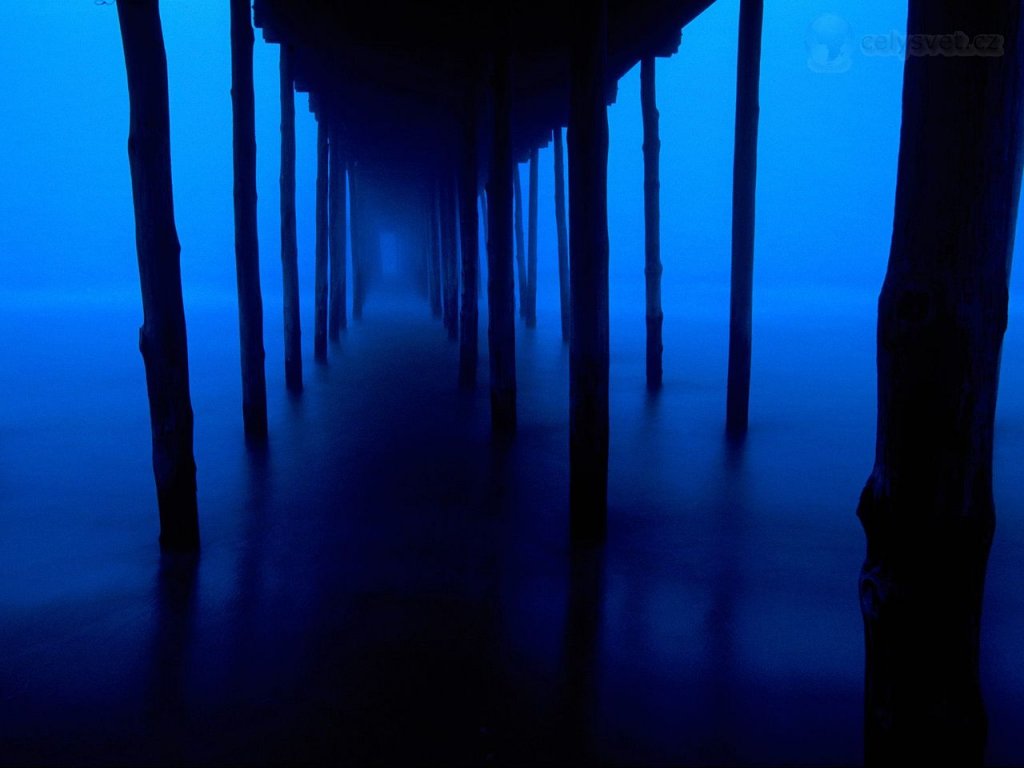 Foto: Under The Oc Pier, Ocean City, Maryland