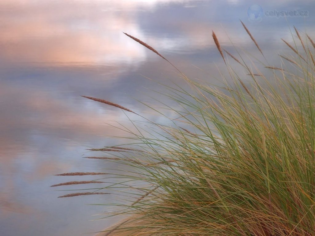 Foto: Umpqua Dunes, Siuslaw National Forest, Oregon