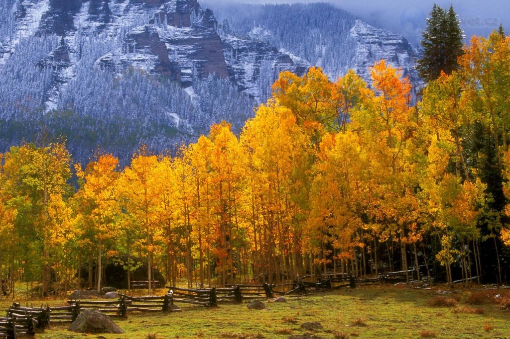 Foto: Fall In The High Country, Colorado