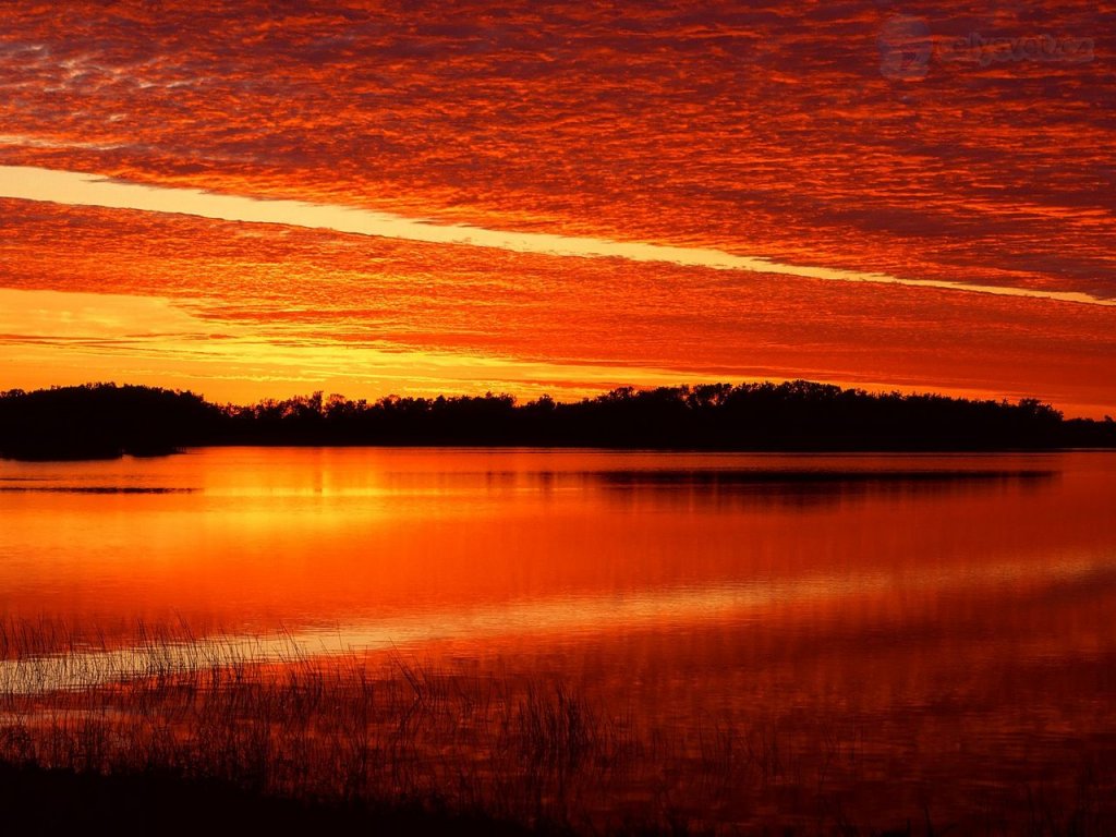 Foto: Nine Mile Pond At Sunrise, Everglades, Florida