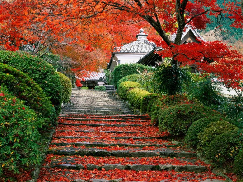 Foto: Garden Staircase, Kyoto, Japan