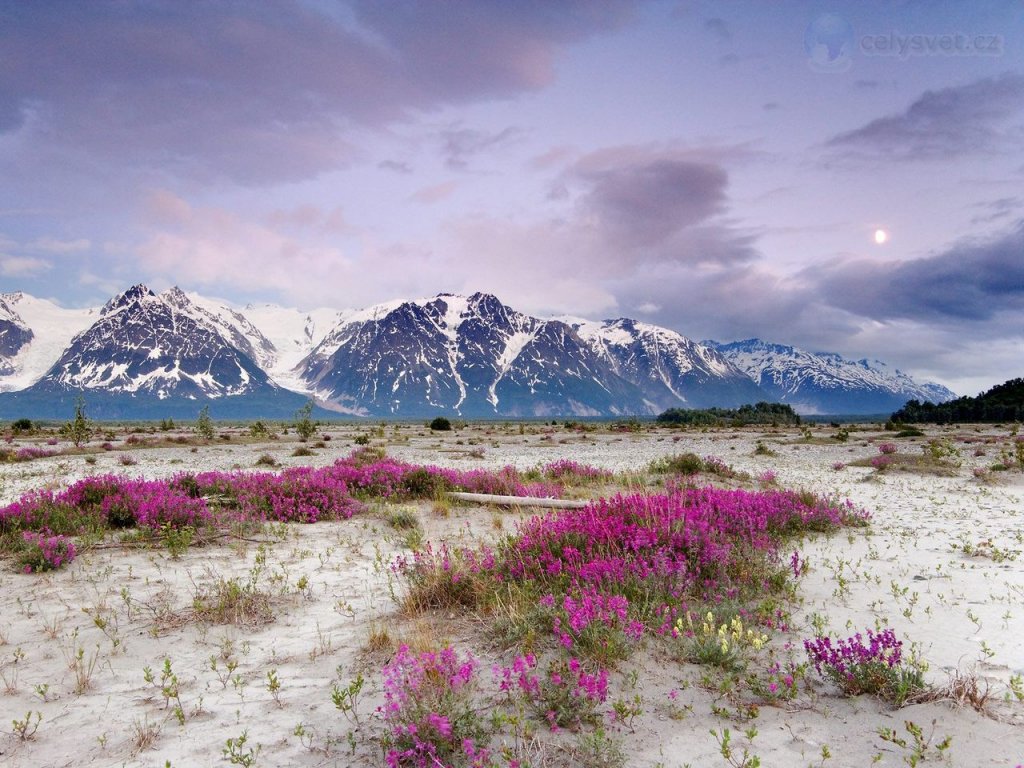 Foto: Moonrise, St Elias Mountains, Alaska