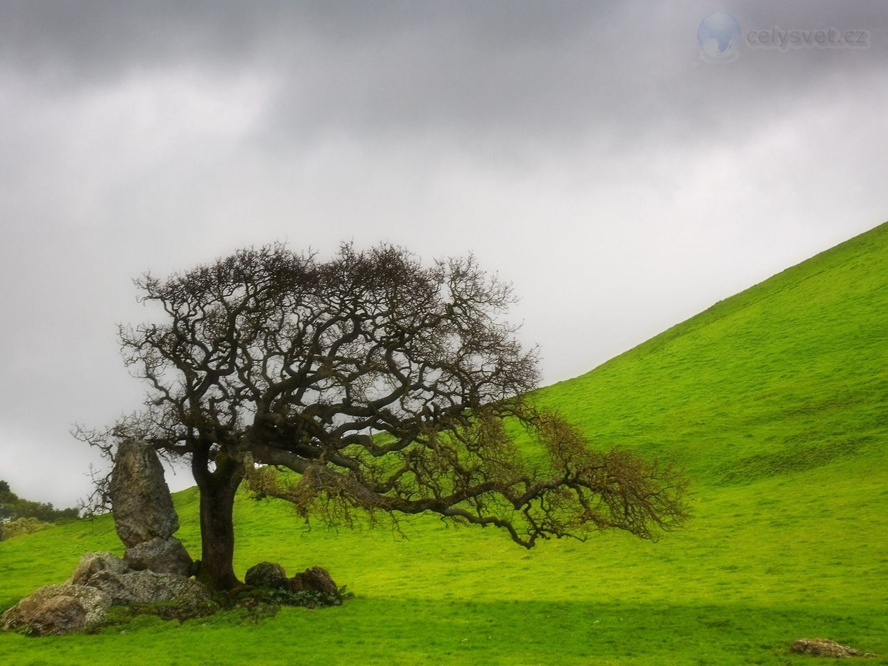 Foto: Lone Oak, California