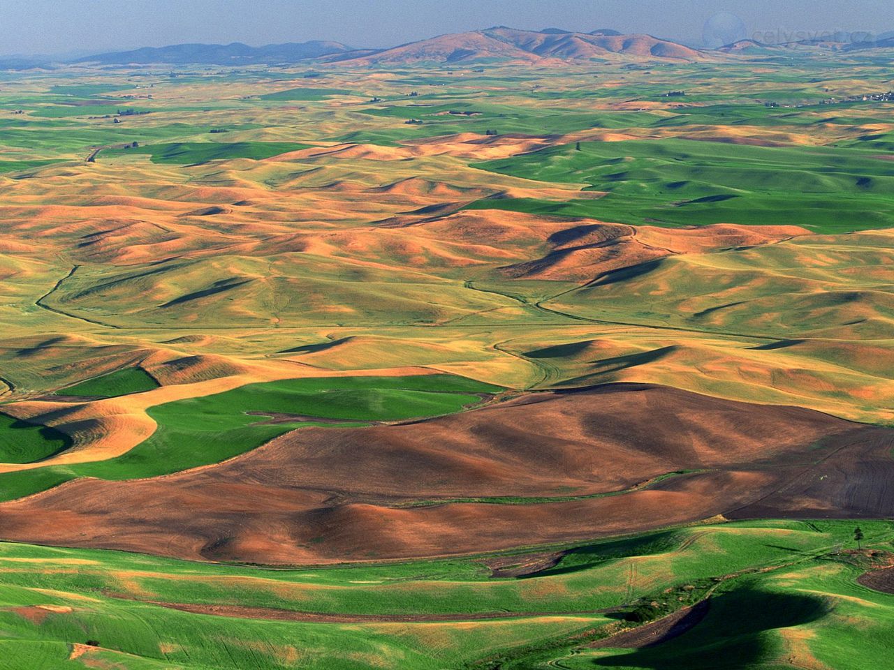 Foto: Undulating Fields Of Palouse, Washington