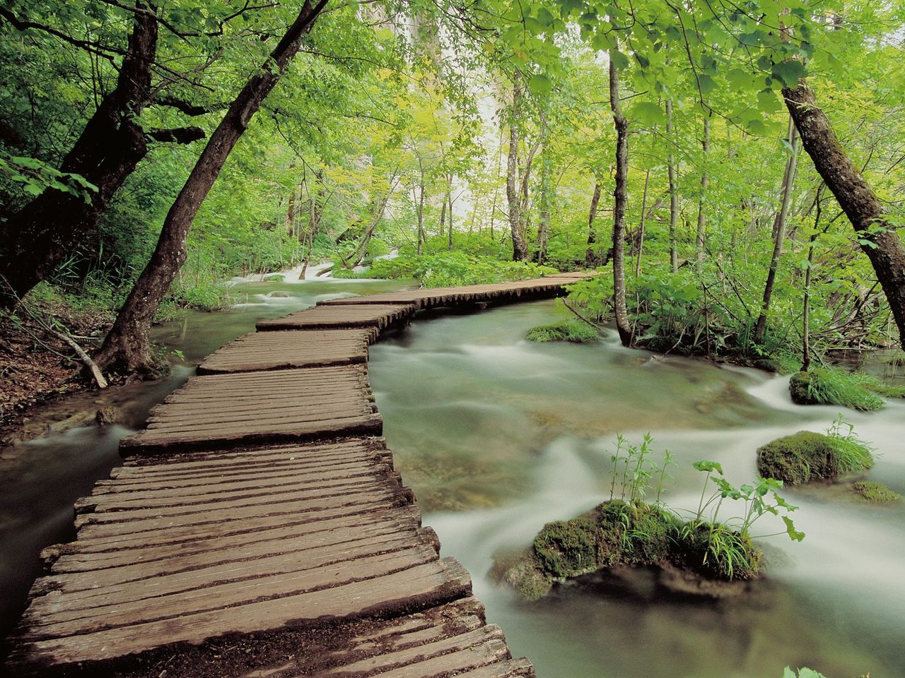 Foto: Plitvice National Park, Croatia