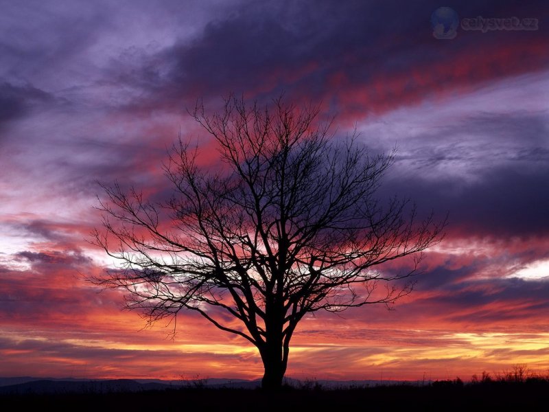 Foto: Colorful Sky, Shenandoah National Park, Virginia