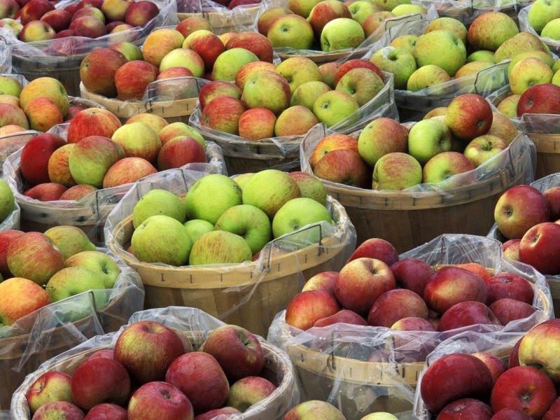 Foto: Macintosh Apples In Bushel Baskets, New York