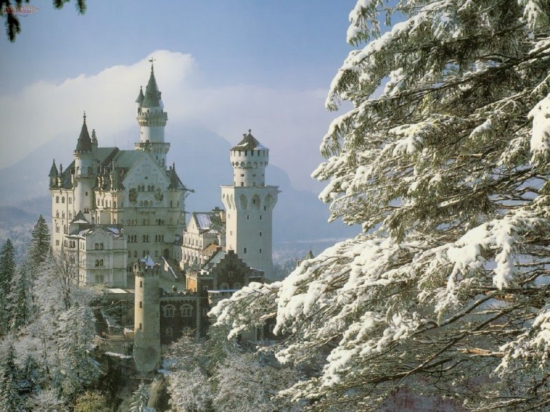 Foto: Neuschwanstein Castle, Bavaria, Germany,  Forest Snow