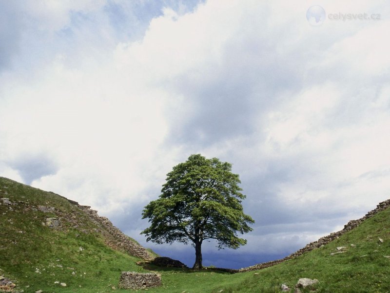 Foto: Hadrians Wall, Northumberland, England