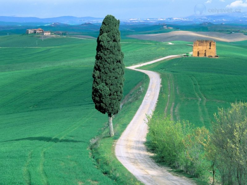 Foto: Country Road, Tuscany, Italy